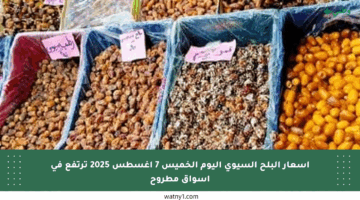 أسعار البلح السيوي اليوم الخميس 7 أغسطس 2025 ترتفع في أسواق مطروح